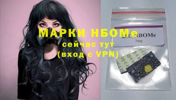 стаф Алексин