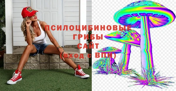 стаф Алексин