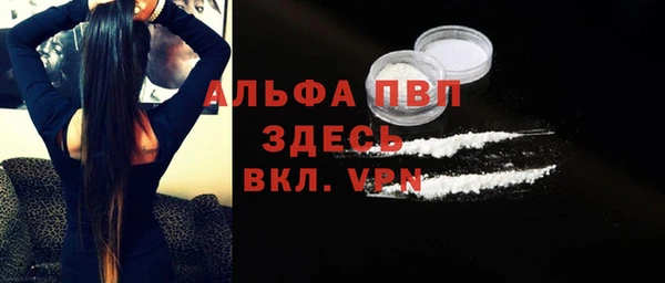 стаф Алексин