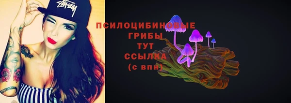 стаф Алексин