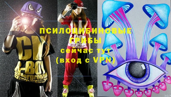 стаф Алексин