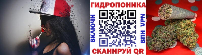 ссылка на мегу ссылки  Бокситогорск  Канабис план 